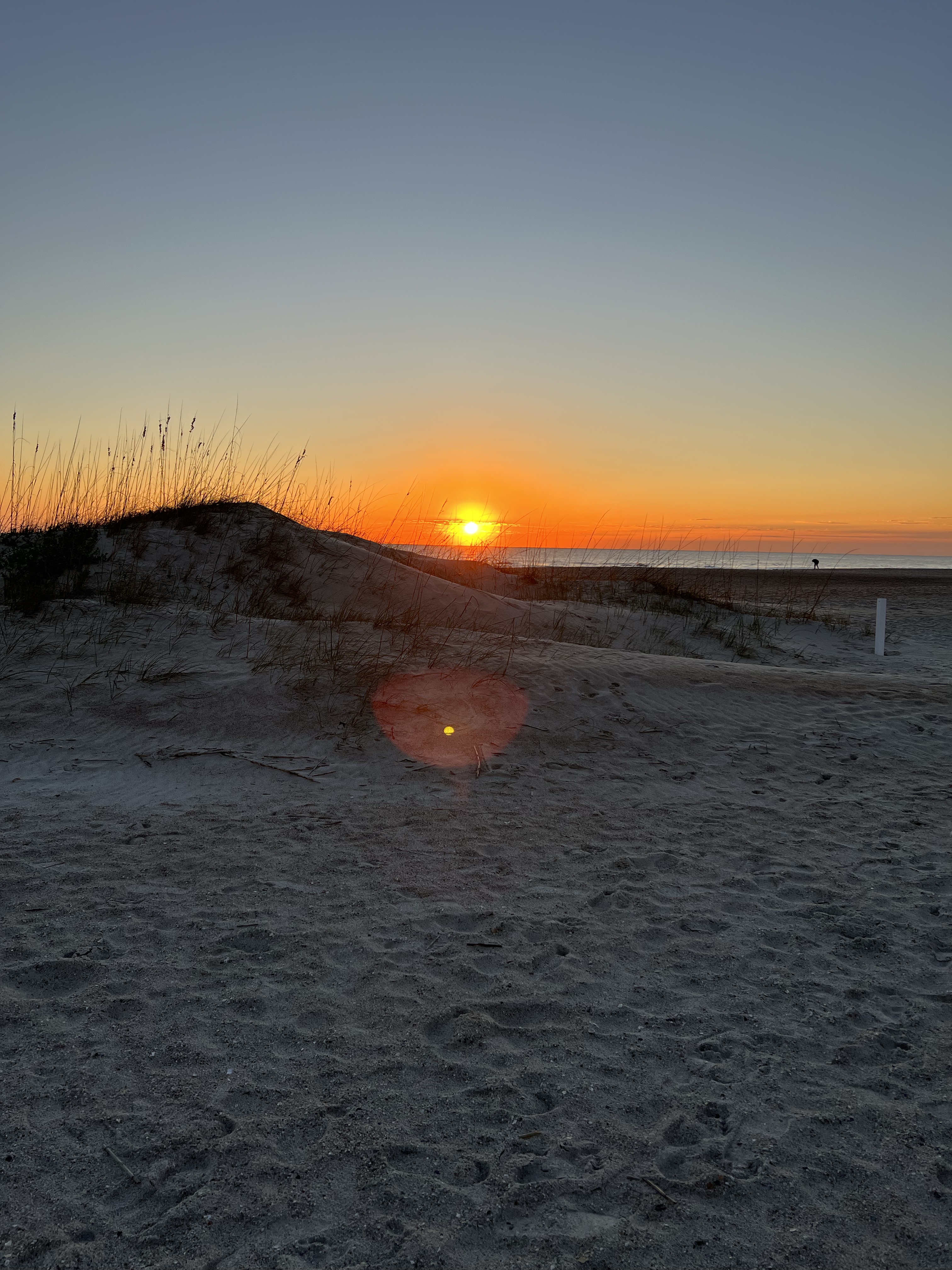 Sunrise over beach dunes, Amelia Island